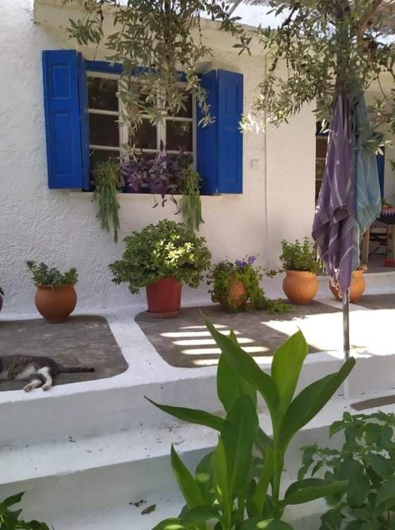 Stamoulis Apartments Kampos Marathokampou Kültér fotó