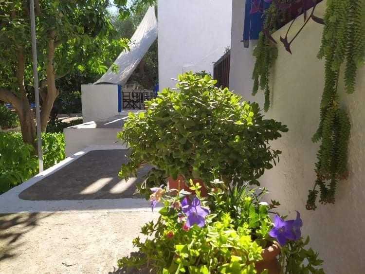 Stamoulis Apartments Kampos Marathokampou Kültér fotó