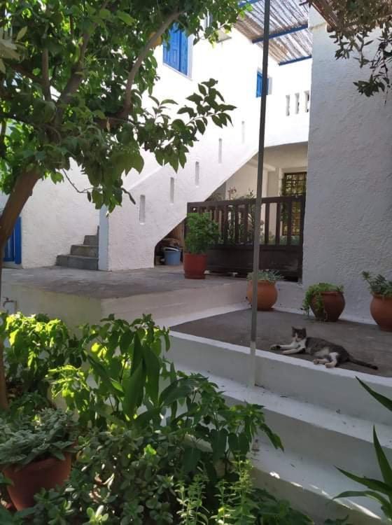 Stamoulis Apartments Kampos Marathokampou Kültér fotó